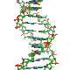 DNA