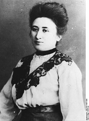 Was ist mit Rosa Luxemburg passiert?
