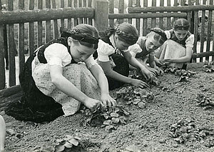 Gartenarbeit Dorfschule